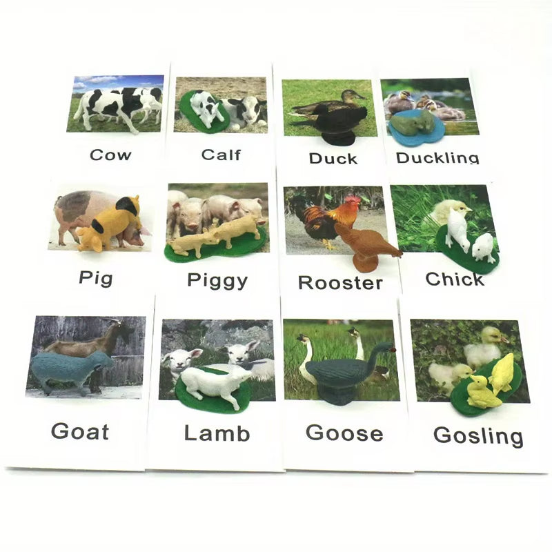 Montessori Animal Matching Card,Language Learning Cognitive Kids Educational Toy Insect Farm Zoo Preschool Toddler 1 2 Years Old