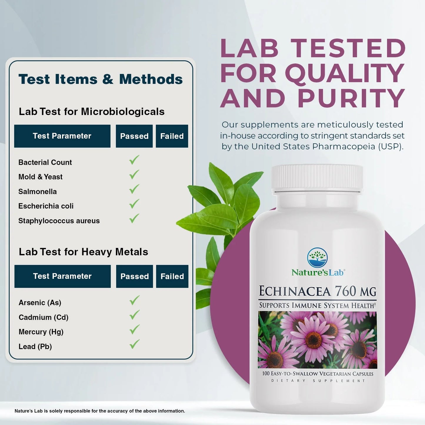 Echinacea 760Mg Dietary Supplement - 100 Capsules (50 Day Supply) - Powerful All Natural Immune System Support* - Non-Gmo, Gluten Free